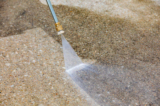 Animal Enclosure Cleaning in De Pere, WI